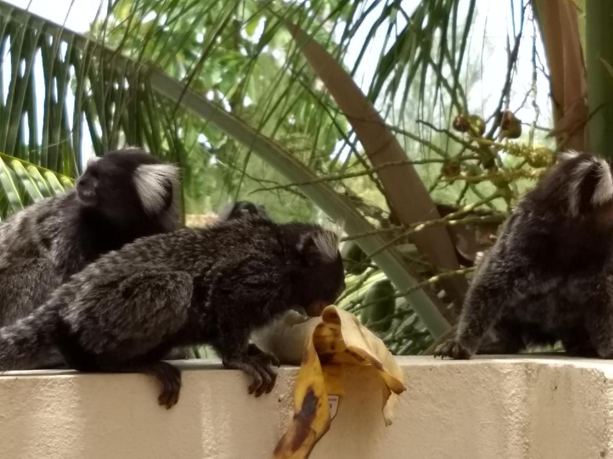 Pousada Vila Dos Santos Pôrto das Galinhas Kültér fotó